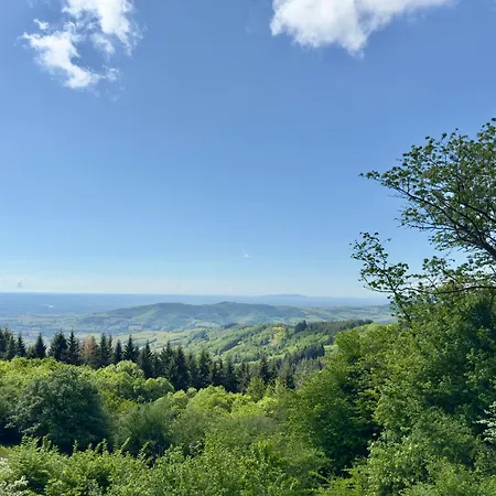 Panoramique